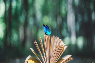 閩江學(xué)院在職研究生證書認可度怎么樣？